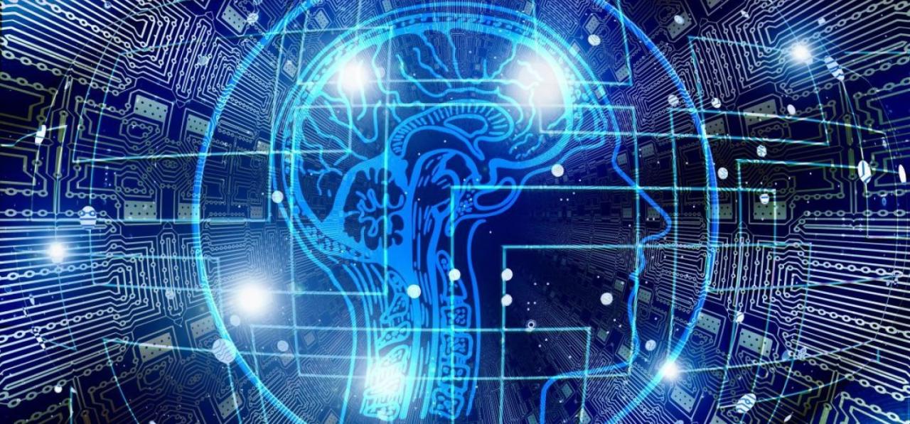 Разработка и сопровождение программного обеспечения